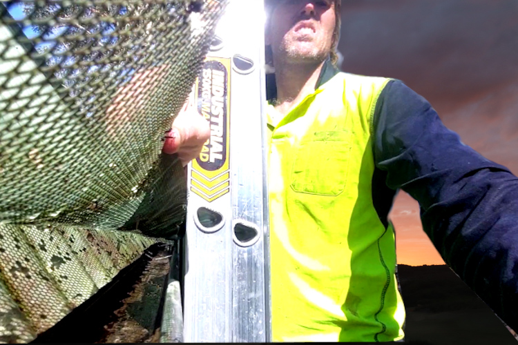 
portstephens Gutter Cleaner`s Freshly Cleaned Gutter with Guards Display