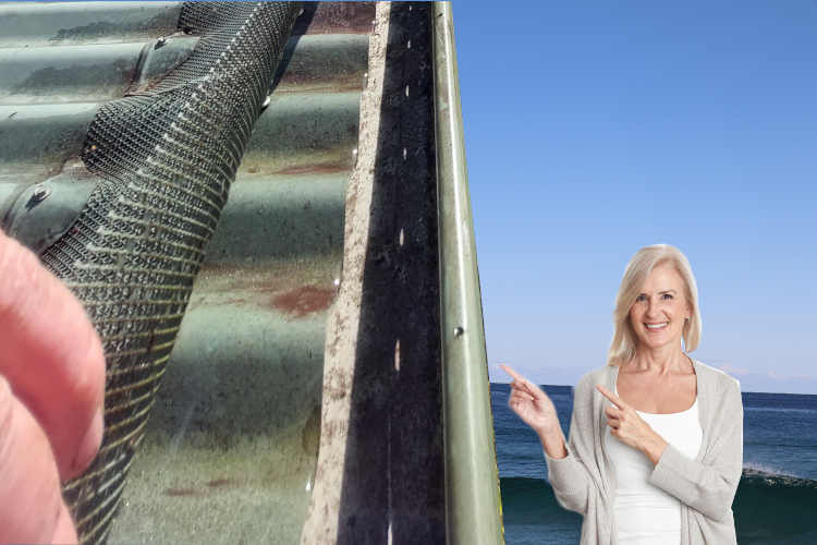 
portstephens Woman`s Excitement Evident After Cleaning Under Gutter Guards